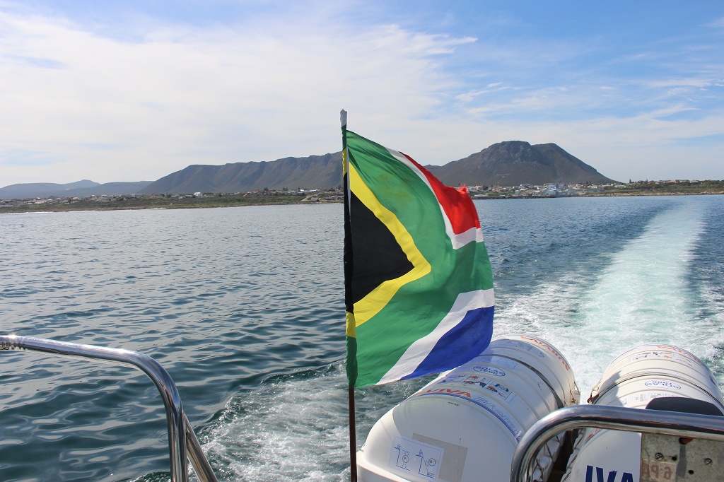 Things to do, Gansbaai