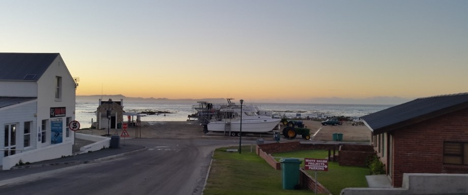 Shark Cage diving, Gansbaai